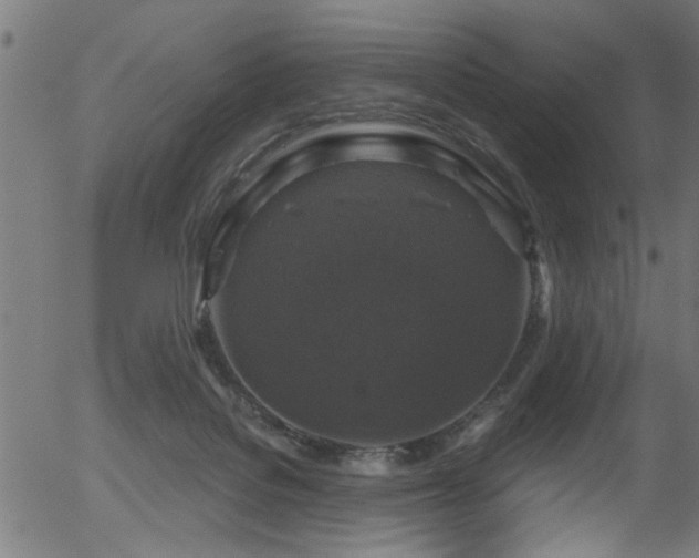 X0000056330076200508291303