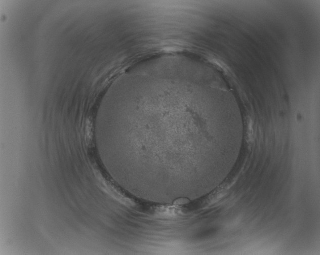 X0000056330077200508291303