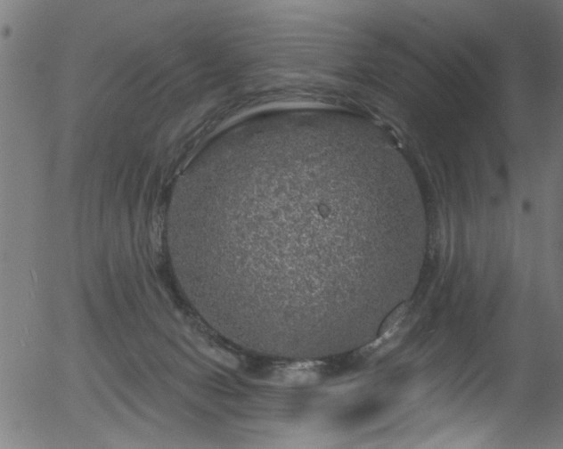 X0000056330078200508291303