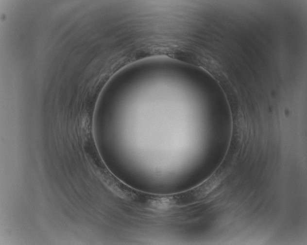 X0000056330079200508291303