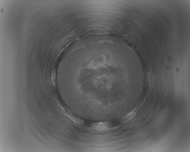 X0000056330082200508291303