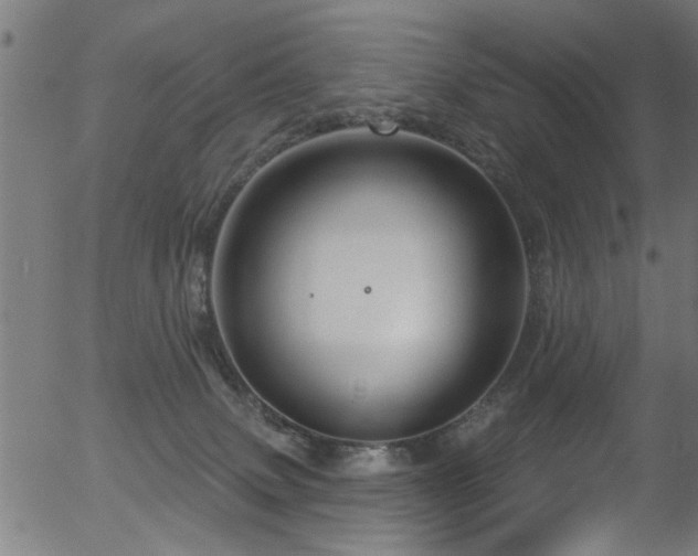 X0000056330083200508291303