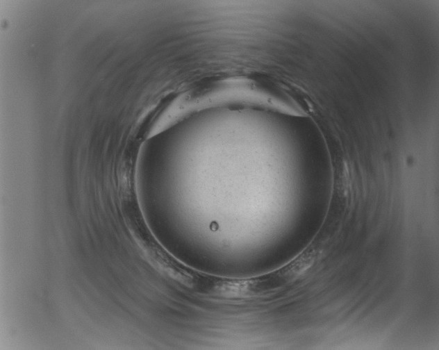 X0000056330084200508291303