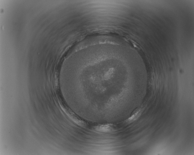 X0000056330086200508291303