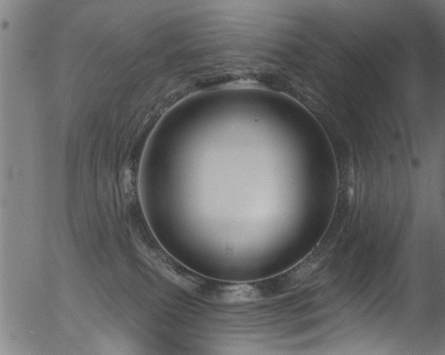 X0000056330087200508291303