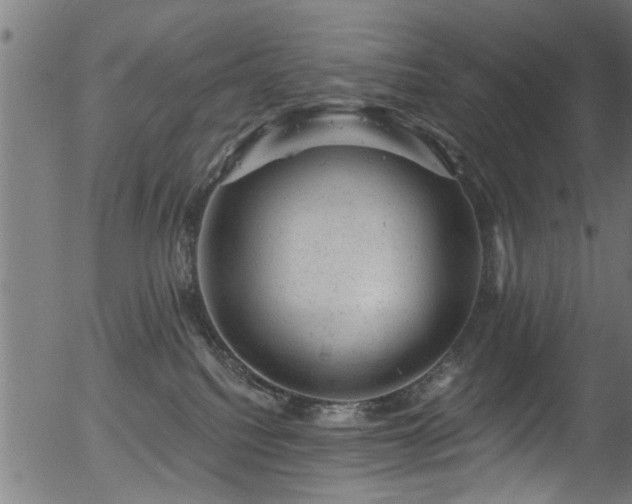 X0000056330088200508291303