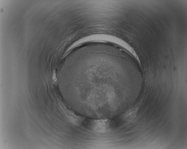 X0000056330089200508291303