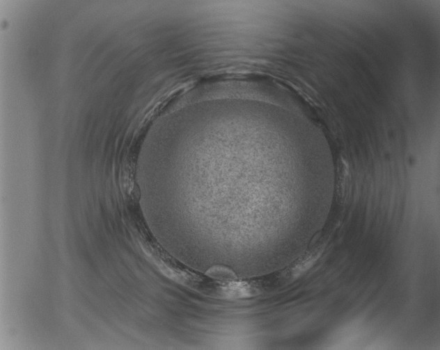 X0000056330091200508291303