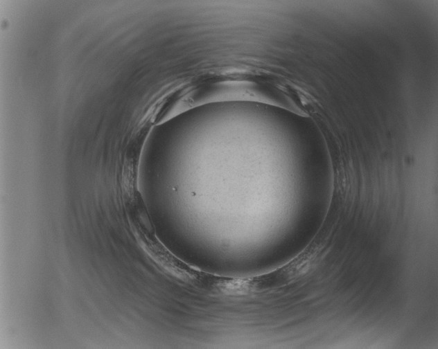 X0000056330092200508291303