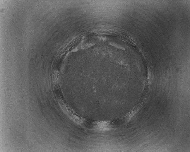 X0000056330093200508291303