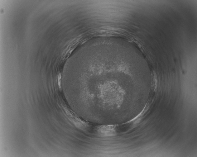 X0000056330094200508291303