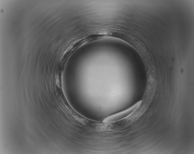 X0000056330096200508291303