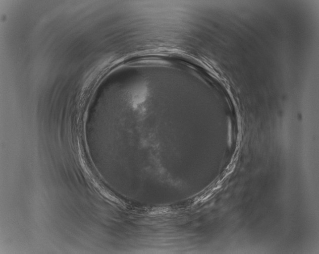 X0000056330097200508291302