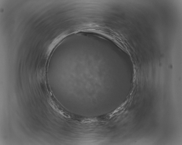 X0000056330099200508291302