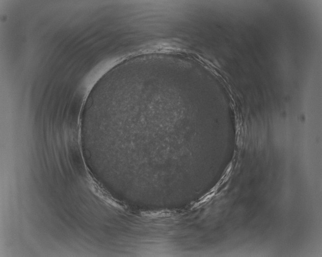 X0000056330100200508291302