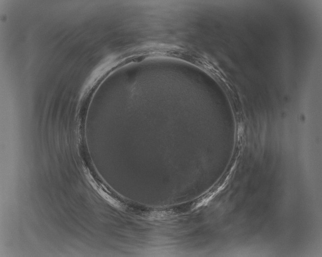 X0000056330101200508291302