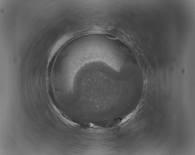 X0000056330102200508291302