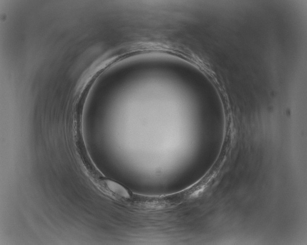 X0000056330103200508291302