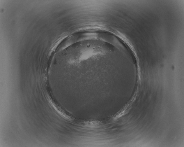 X0000056330105200508291302