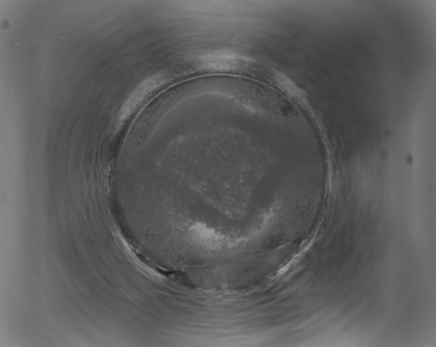 X0000056330106200508291302