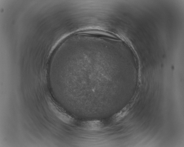 X0000056330108200508291302