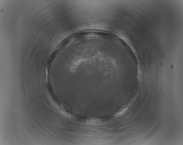 X0000056330109200508291302