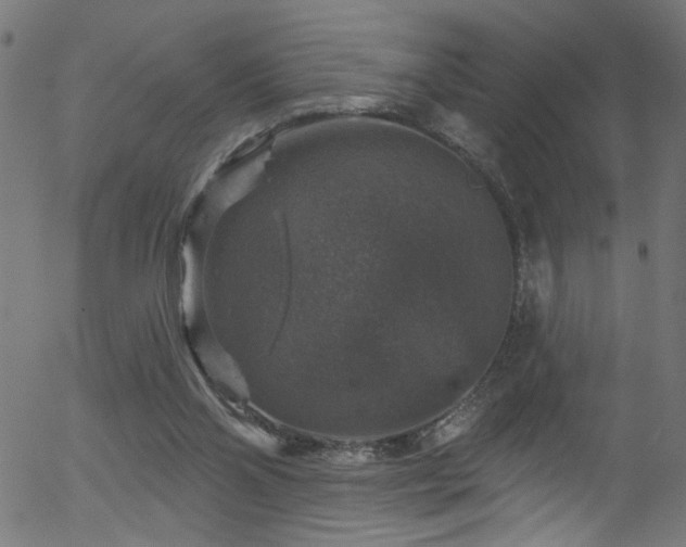 X0000056330110200508291302