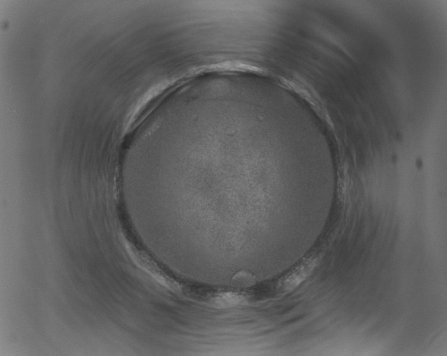 X0000056330111200508291302