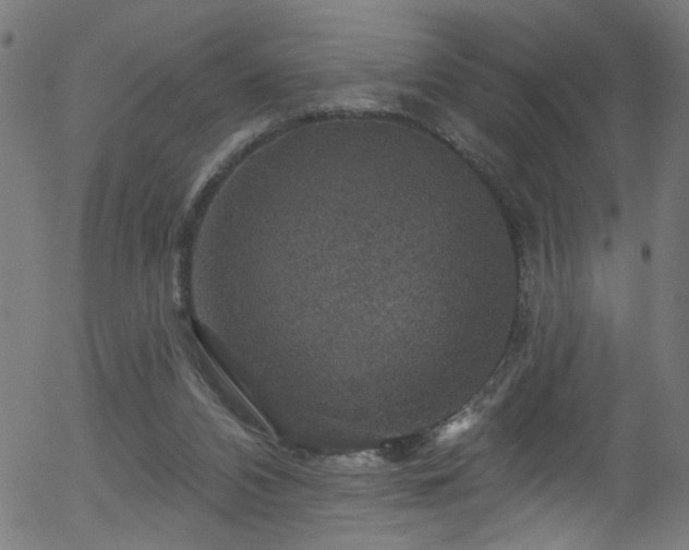 X0000056330112200508291302