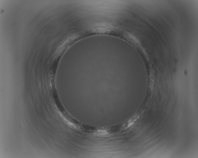 X0000056330114200508291302