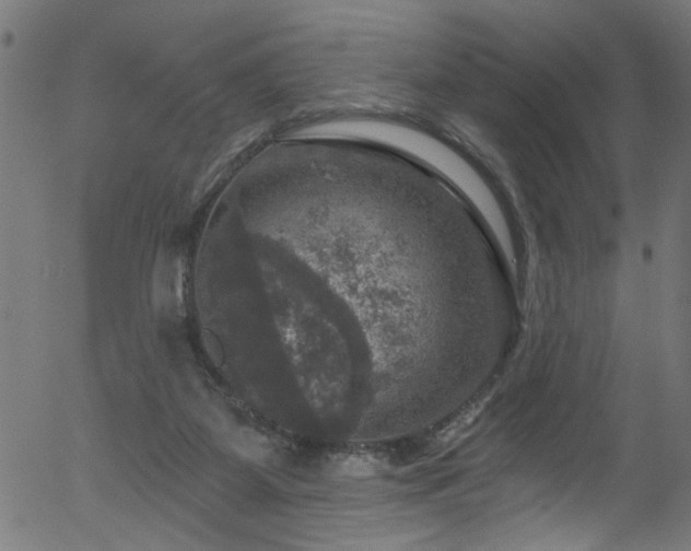 X0000056330115200508291302