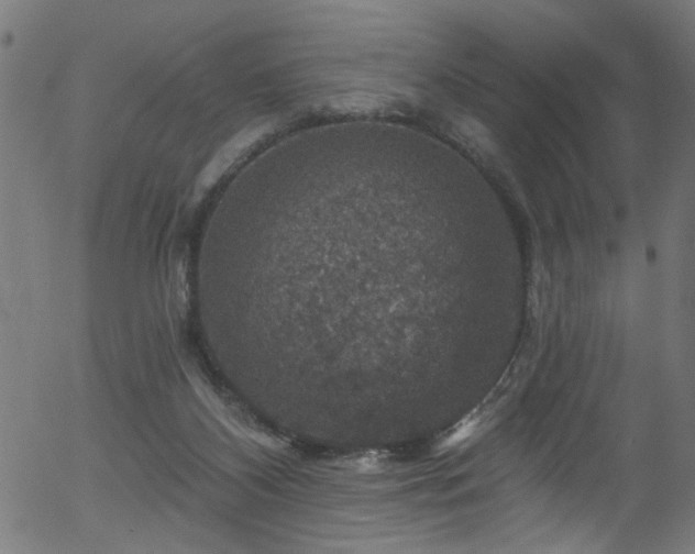 X0000056330116200508291302