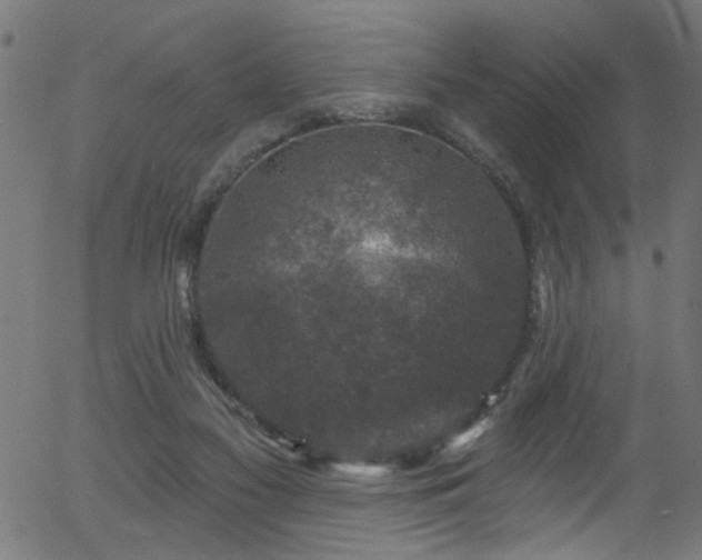 X0000056330117200508291302