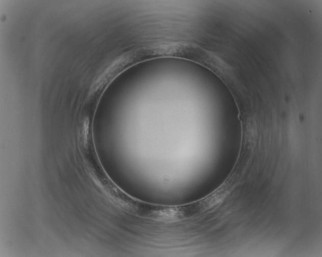 X0000056330118200508291302