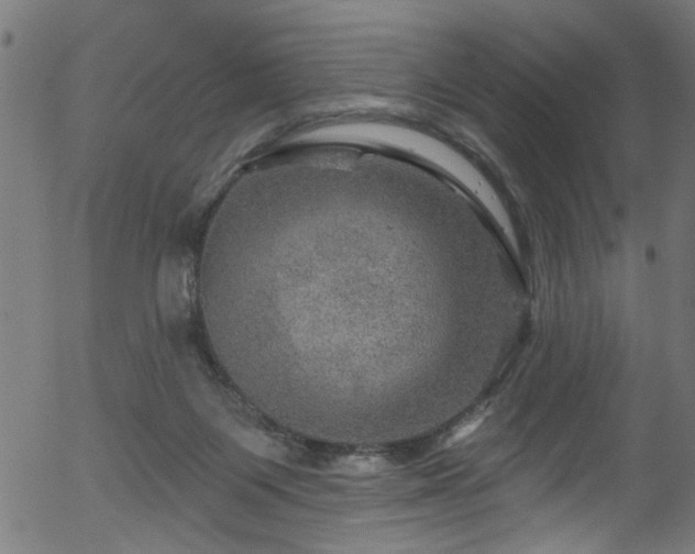 X0000056330119200508291302