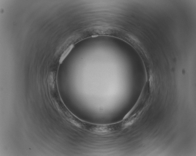 X0000056330121200508291302