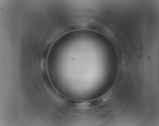 X0000056330122200508291302