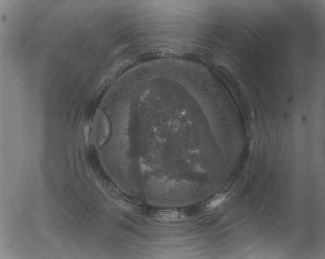 X0000056330123200508291302