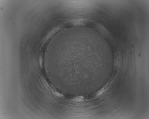 X0000056330124200508291302