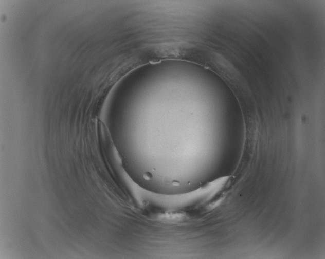 X0000056330125200508291302