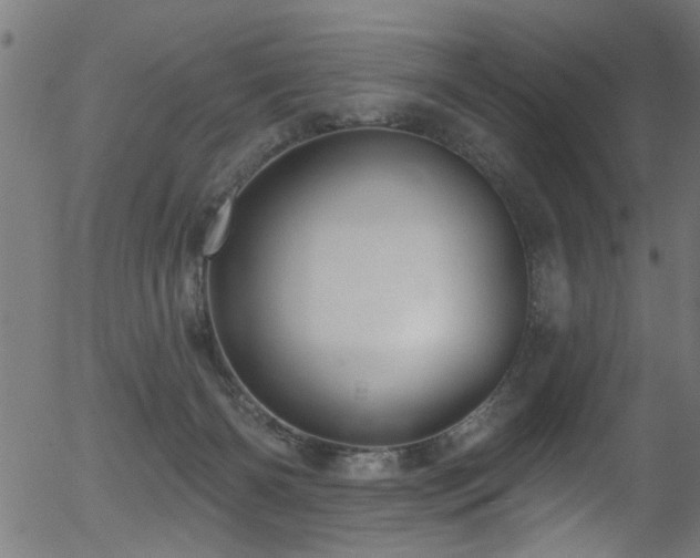 X0000056330126200508291302