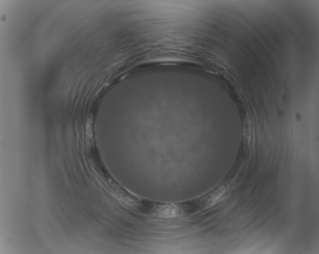 X0000056330127200508291302