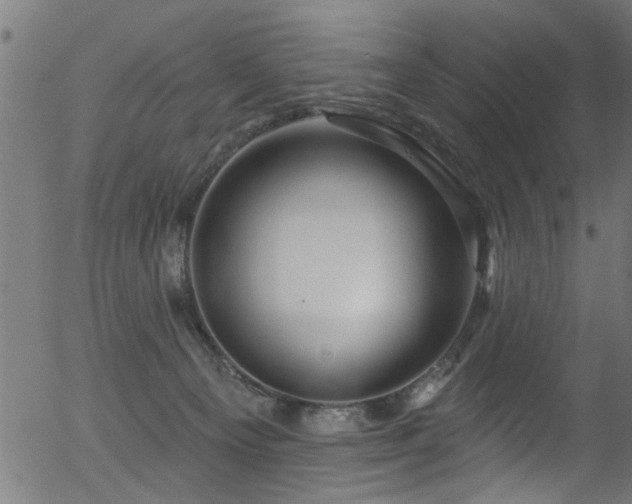 X0000056330129200508291302