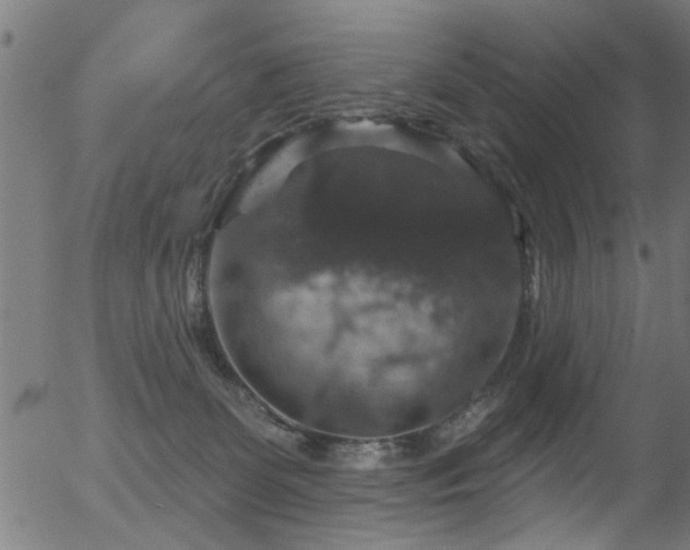 X0000056330131200508291302