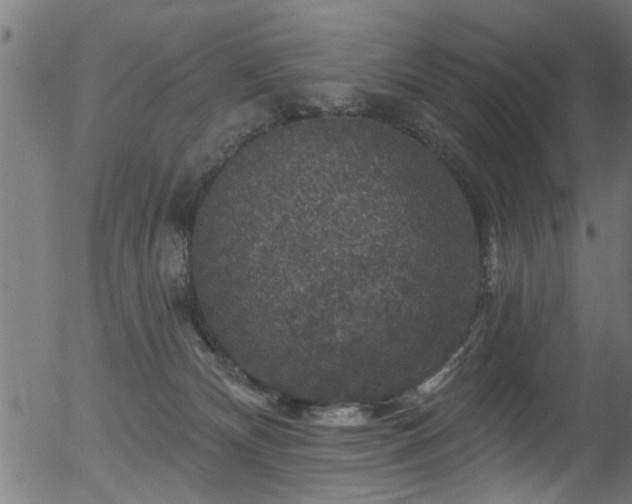 X0000056330132200508291302