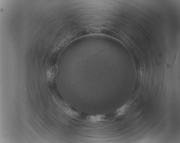 X0000056330134200508291302