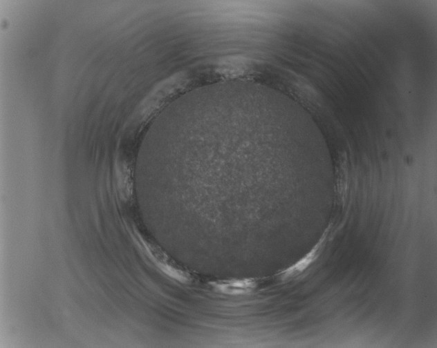 X0000056330136200508291302