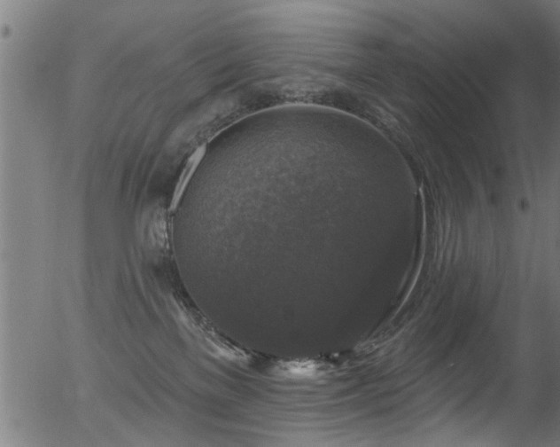 X0000056330137200508291302