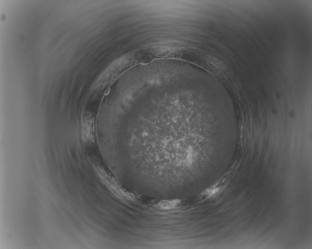 X0000056330138200508291302