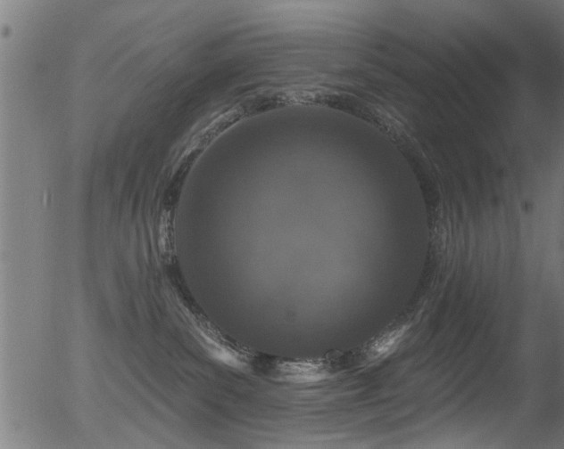 X0000056330139200508291302